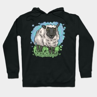 Black sheep Hoodie